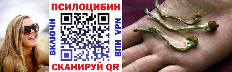 как найти закладки  Зеленогорск  Псилоцибиновые грибы ЛСД 