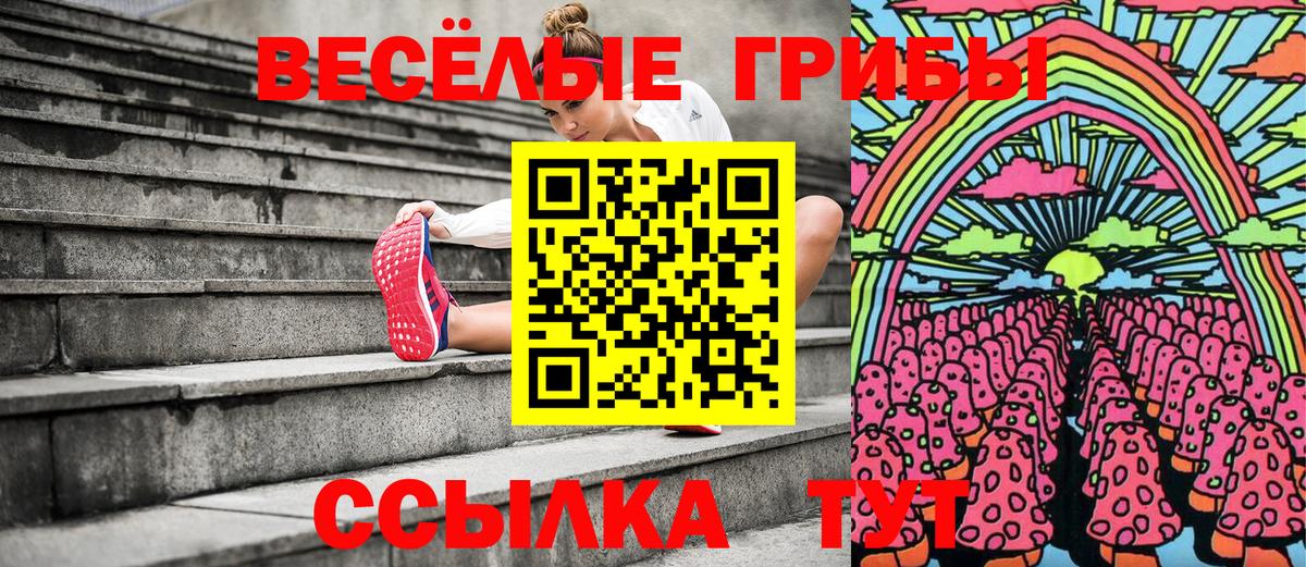 Галлюциногенные грибы Cubensis  Вход с VPN  Зеленогорск 
